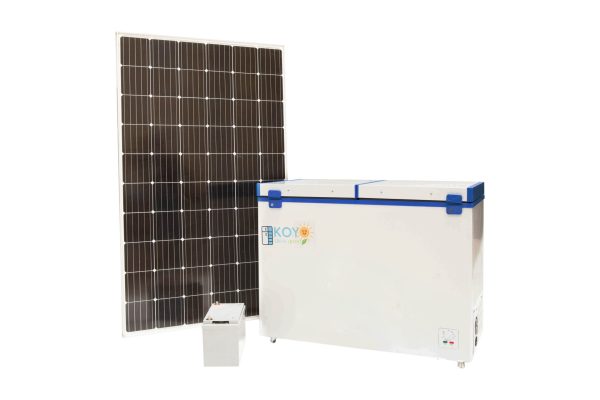 KOYO - Image 19