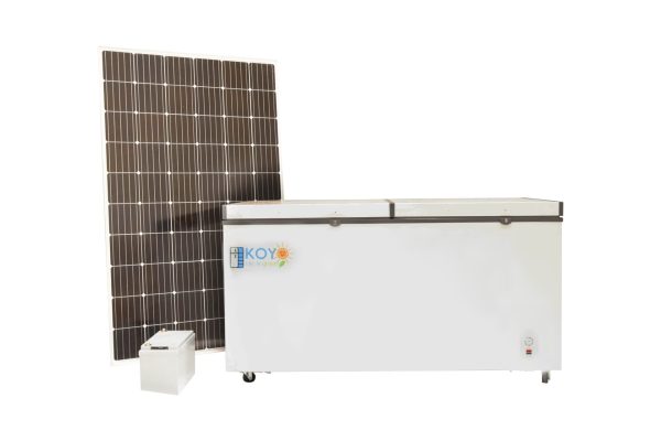 KOYO - Image 13